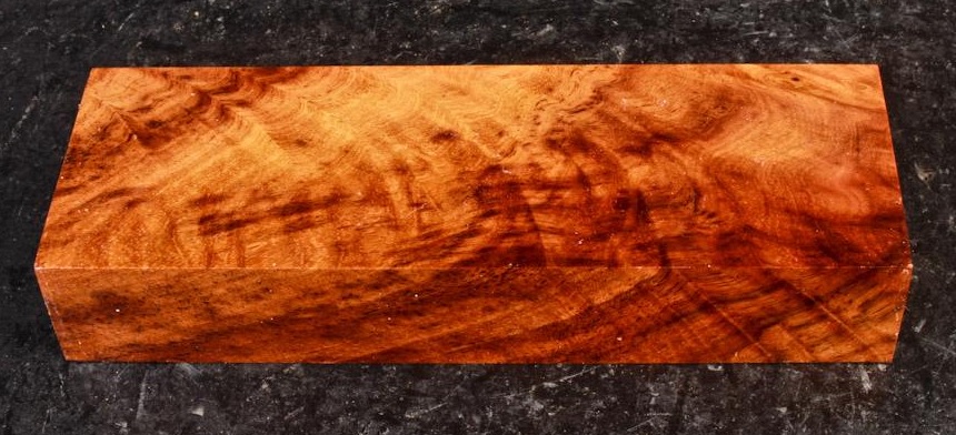 Asian Ironwood1d.jpg