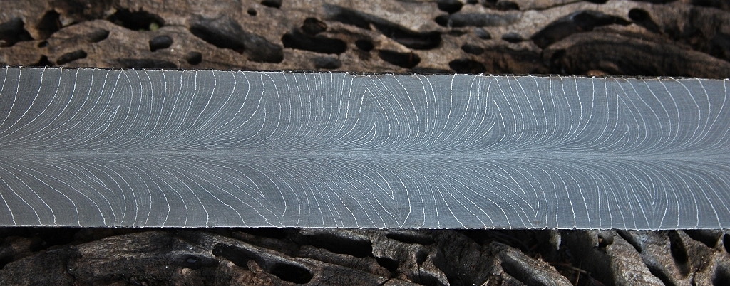 feather damascus billet for sale 027 (1024x402).jpg