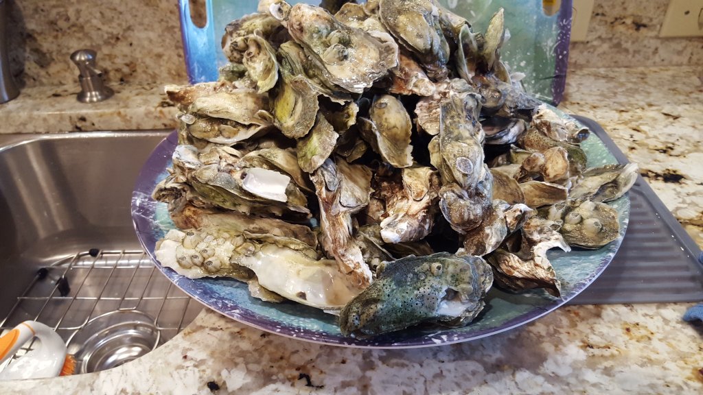 oysters.jpg