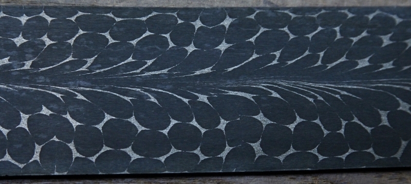 Star Feather 006 (800x359).jpg