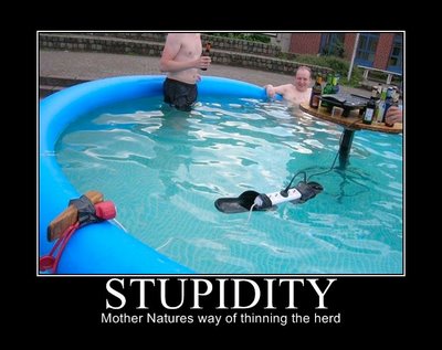 stupidity1.jpg